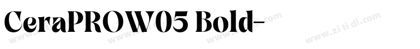 CeraPROW05 Bold字体转换